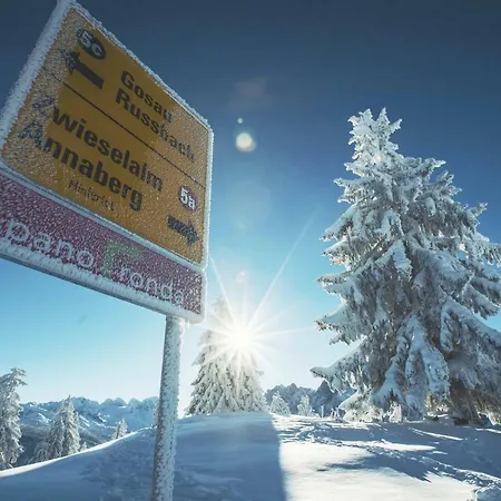 Huttenzauber Alpinchalet 4 *