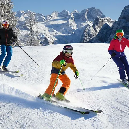 Vakantiehuis Huttenzauber Alpinchalet 4 Annaberg im Lammertal